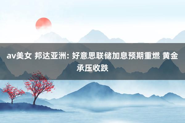 av美女 邦达亚洲: 好意思联储加息预期重燃 黄金承压收跌