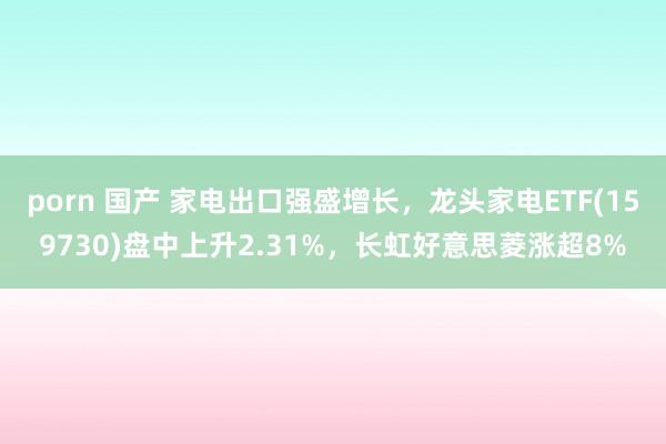 porn 国产 家电出口强盛增长，龙头家电ETF(159730)盘中上升2.31%，长虹好意思菱涨超8%