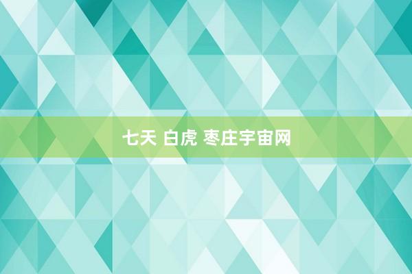 七天 白虎 枣庄宇宙网
