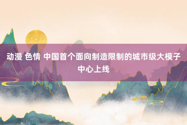 动漫 色情 中国首个面向制造限制的城市级大模子中心上线