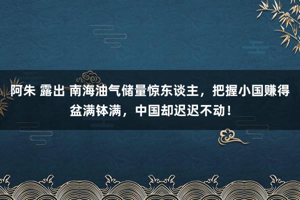 阿朱 露出 南海油气储量惊东谈主，把握小国赚得盆满钵满，中国却迟迟不动！
