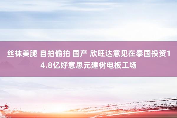 丝袜美腿 自拍偷拍 国产 欣旺达意见在泰国投资14.8亿好意思元建树电板工场