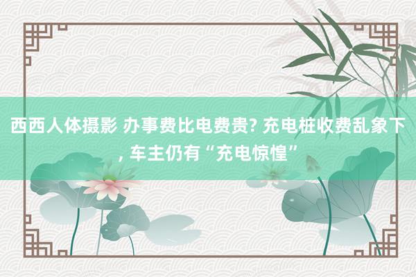 西西人体摄影 办事费比电费贵? 充电桩收费乱象下, 车主仍有“充电惊惶”