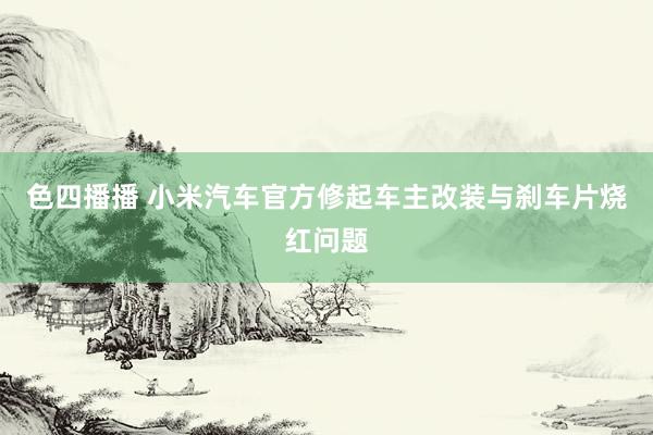 色四播播 小米汽车官方修起车主改装与刹车片烧红问题