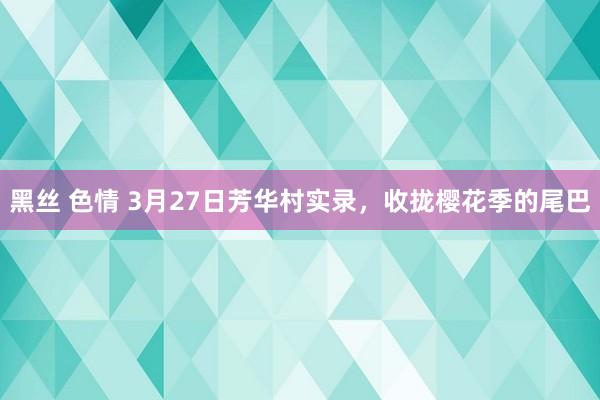 黑丝 色情 3月27日芳华村实录，收拢樱花季的尾巴