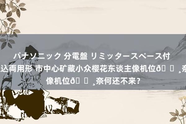 パナソニック 分電盤 リミッタースペース付 露出・半埋込両用形 市中心矿藏小众樱花东谈主像机位🌸奈何还不来?