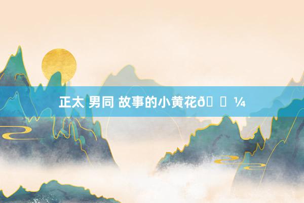 正太 男同 故事的小黄花🌼