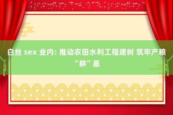 白丝 sex 业内: 推动农田水利工程建树 筑牢产粮“耕”基