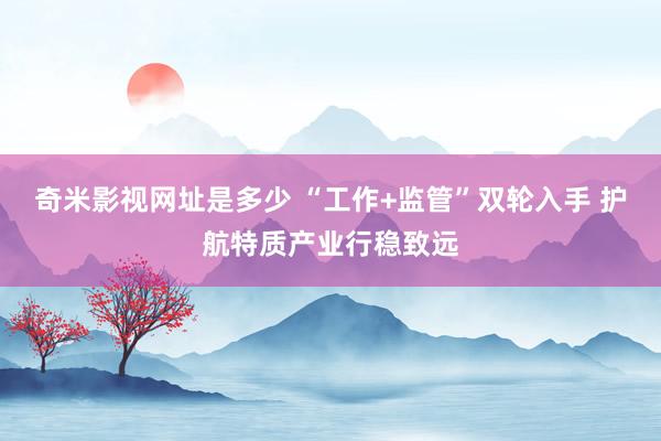 奇米影视网址是多少 “工作+监管”双轮入手 护航特质产业行稳致远