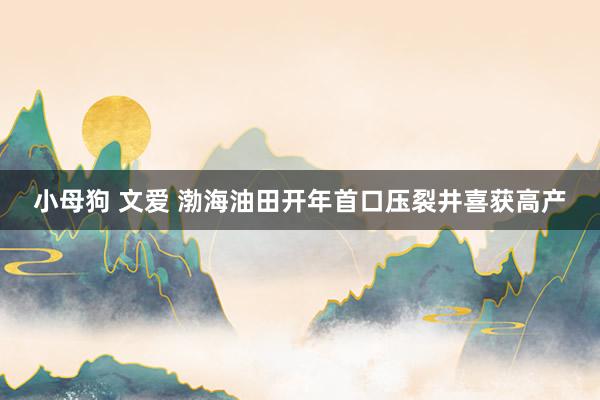 小母狗 文爱 渤海油田开年首口压裂井喜获高产