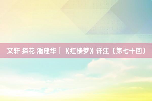 文轩 探花 潘建华｜《红楼梦》详注（第七十回）