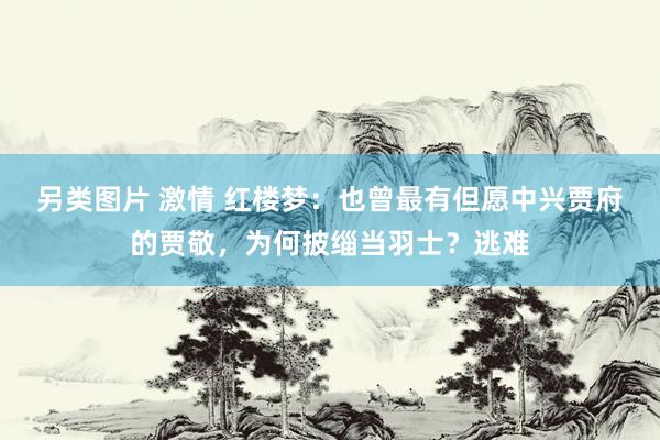 另类图片 激情 红楼梦：也曾最有但愿中兴贾府的贾敬，为何披缁当羽士？逃难
