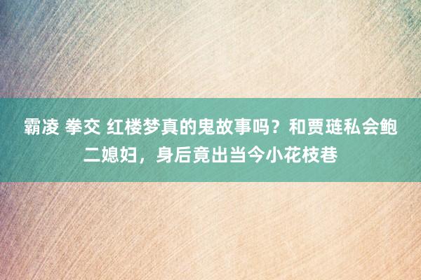 霸凌 拳交 红楼梦真的鬼故事吗？和贾琏私会鲍二媳妇，身后竟出当今小花枝巷