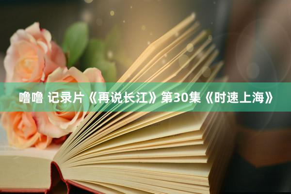噜噜 记录片《再说长江》第30集《时速上海》