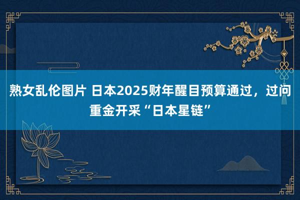 熟女乱伦图片 日本2025财年醒目预算通过，过问重金开采“日本星链”