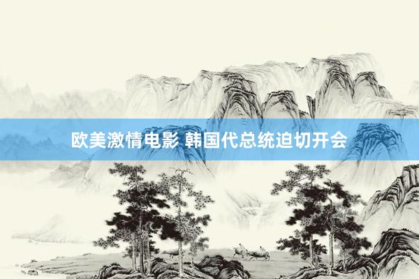 欧美激情电影 韩国代总统迫切开会