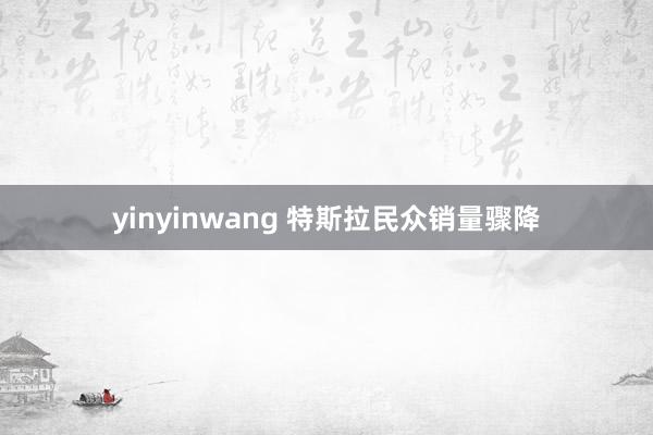 yinyinwang 特斯拉民众销量骤降