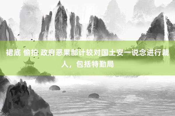 裙底 偷拍 政府恶果部计较对国土安一说念进行裁人，包括特勤局