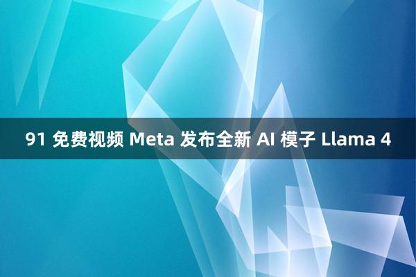 91 免费视频 Meta 发布全新 AI 模子 Llama 4